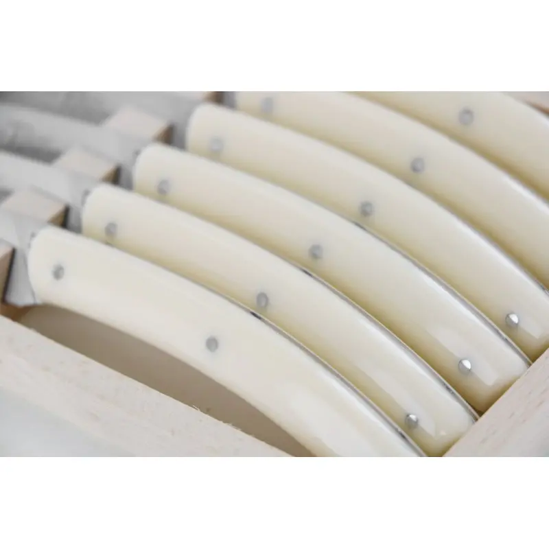 Andre Verdier Le Thiers Elegance 6 Pc Knife In Box - Off-White Acrylic Handle Andre Verdier Le Thiers Elegance 6 Pc Knife In Box - Off-White Acrylic Handle