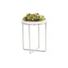 Cal-Mil Chrome Round Riser - 10" H