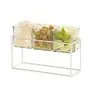 Cal-Mil Chrome 3 Jar Holder - 6" H