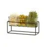 Cal-Mil Black 3 Jar Holder - 6" H