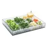 Cal-Mil 24 x 32 x 4.25 5 Sided Box Clear