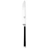Broggi Gualtiero Marchesi Collection Stainless Steel Steak Knife - Set of 12