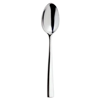 Broggi Impulso Collection Silver Plated Serving Spoon - Set of 12