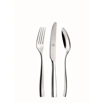 Broggi Impulso Collection Stainless Steel Sauce Spoon - Set of 12