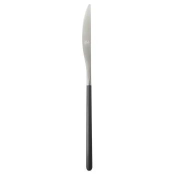 Broggi Kyoto Collection Stainless Steel Table Knife - Set of 12