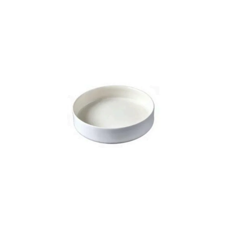 Elegant Moonbeam Bowl - Handcrafted Stoneware - 22 cm - Set of 6