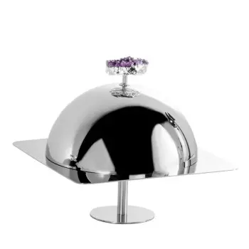 Designer Stainless Steel Serving Plate with Cloche and Amethyst Stone