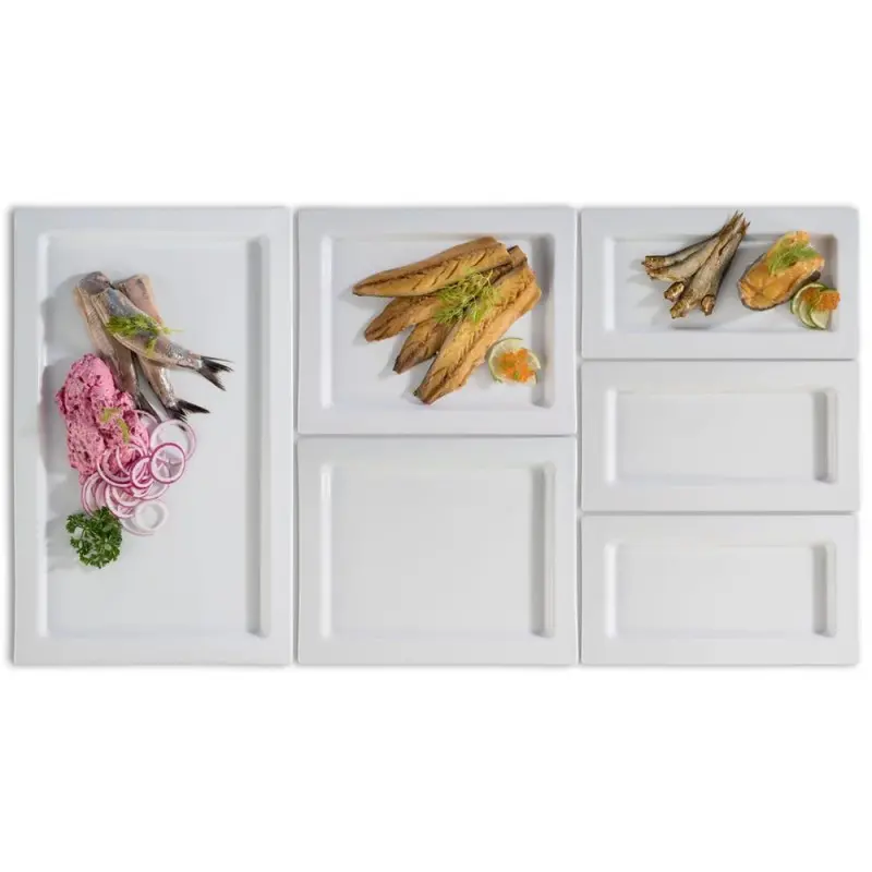 APS Tray Gastronorm 1/1 20.875" x 12.875" x 0.875" H porcelain white Frames - Case of 6