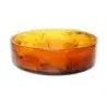 Kenny Mack Bowl Circle 15 1/2 in D x 4 1/2 in H (380 oz) Tortoise