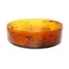Kenny Mack Bowl Circle 20 in x 6 in (929 oz) Tortoise