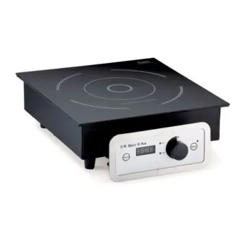 DW Haber induction Range Built-in 120 V/1800 W