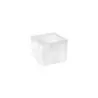 Kenny Mack Riser/Box Smooth 4 in x 4 in x 4 in Shell - Set of 6