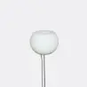 Designer Calice, White Flower - 110 x 110 x 610 mm - Set of 6