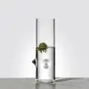 Designer Pablo Flower Vase - 120 x 120 x 330 mm - Set of 6