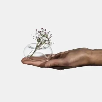 Designer Cinino Tiny Reversible Flower Vase, Transparent - 100 x 100 x 100 mm - Set of 6
