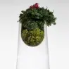 Designer Topless Medium Flower Vase - 256 x 256 x 296 mm