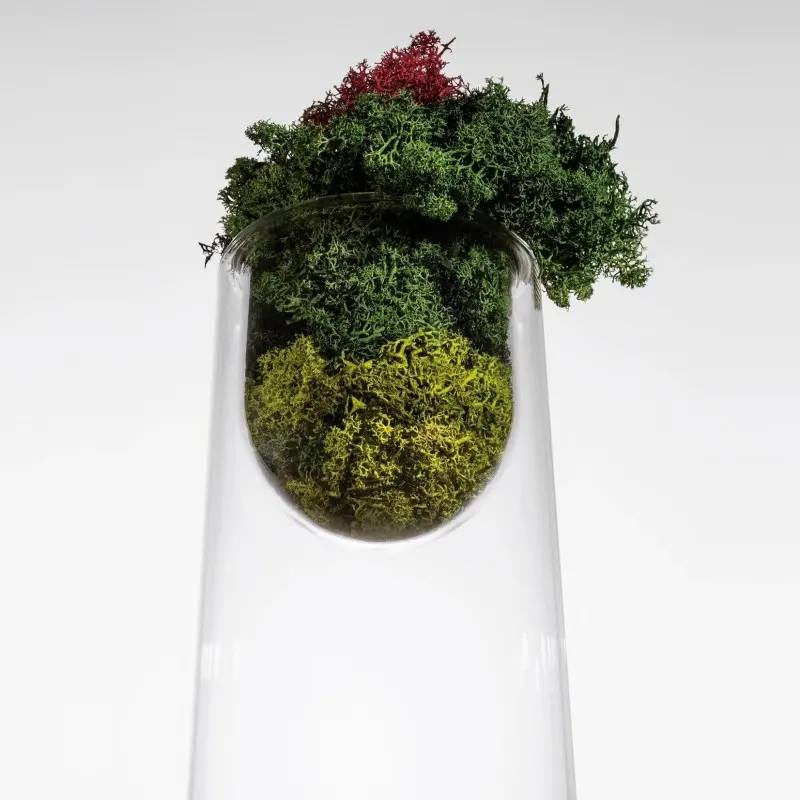 Designer Topless Small Flower Vase - 160 x 160 x 230 mm
