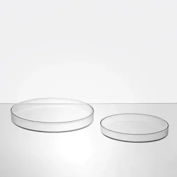 Designer Dotto Big 4 Pcs Box, Diam. 200Mm - Set of 6