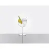 Designer Gino Gin Tonic Glass - 120 x 120 x 240 mm - Set of 6