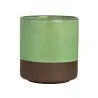 Maham Studio Cup 3 1/8 in x 3 3/8 in (8 1/2 oz) Cardamom - Set of 12