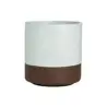 Maham Studio Cup 3 1/8 in x 3 3/8 in (8 1/2 oz) Sea Salt - Set of 12