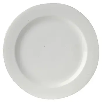 Royal Porcelain Rim Plate 12 1/2 in Avalon - Set of 12