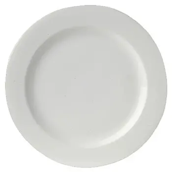 Royal Porcelain Rim Plate 9 1/2 in Avalon - Set of 24