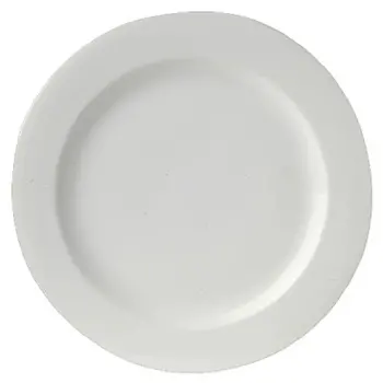 Royal Porcelain Rim Plate 10 1/4 in Avalon - Set of 12