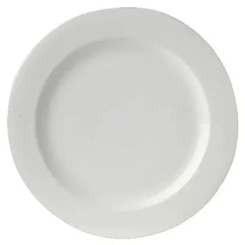 Royal Porcelain Rim Plate 11 in Avalon - Set of 12