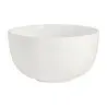Rene Ozorio Fine China Bowl 5 in x 2 3/4 in (18 3/8 oz) White Album - Set of 12