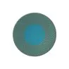 William Edwards Plate 6 in Jewel Topaz - Set of 12