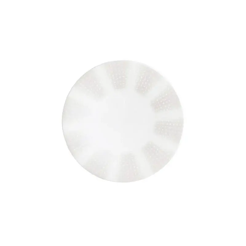 William Edwards Plate 8 3/4 in Quill - Set of 12 William Edwards Plate 8 3/4 in Quill - Set of 12