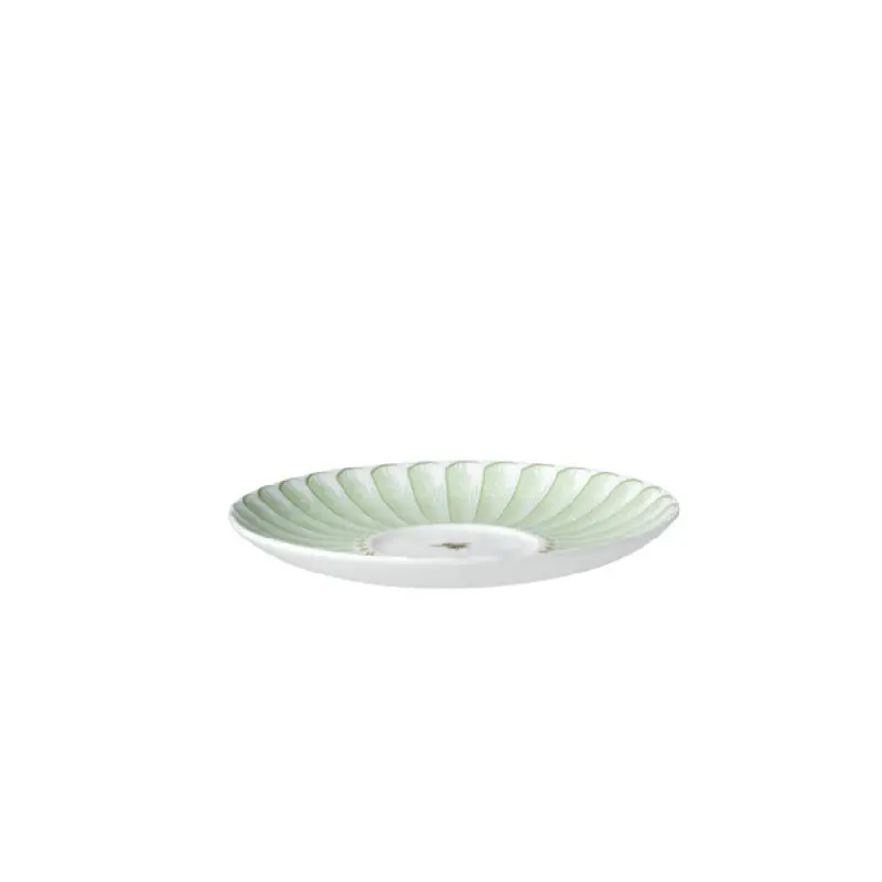 William Edwards Tea For One Saucer 5 3/4 in (Fits And0411A, And0562) Hive - Set of 12 William Edwards Tea For One Saucer 5 3/4 in (Fits And0411A, And0562) Hive - Set of 12