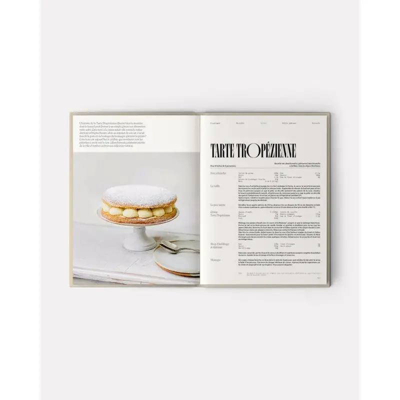 Petits Et Grands Gâteaux de nos Régions by Michel Tanguy - French Language