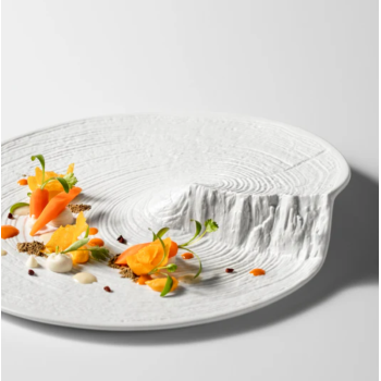Chef's Presentation Plates