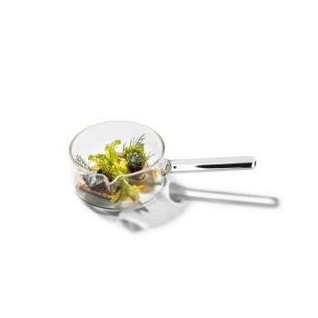 Glass Mini Dishes