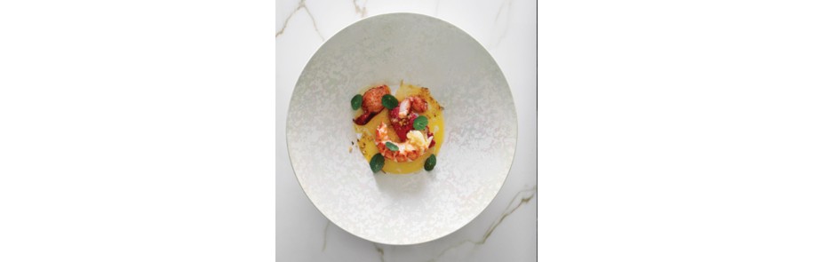 Lustre Collection