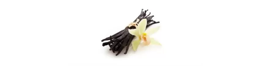 Vanilla
