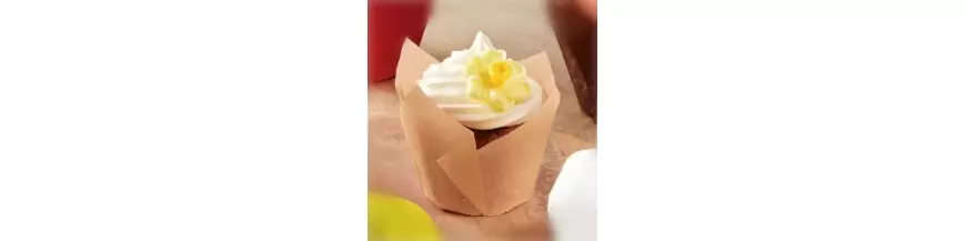 Tulip Cupcake Liners
