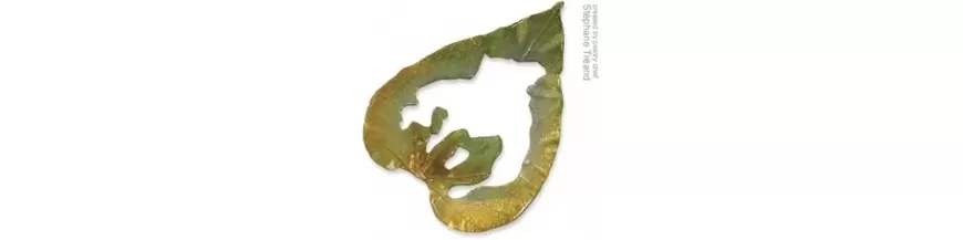 Silicone Leaf Molds