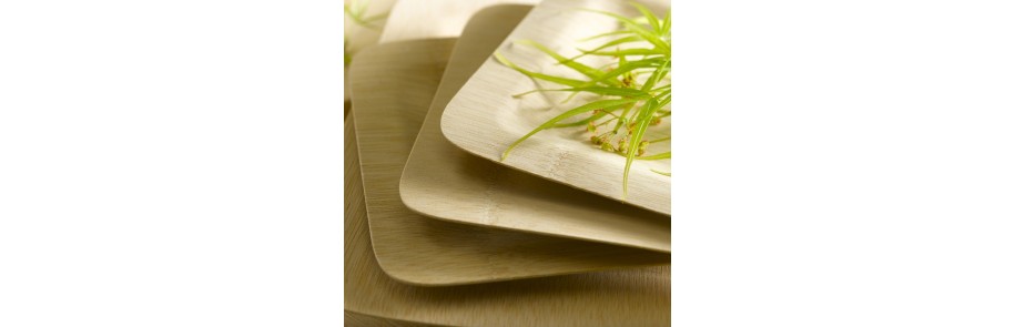 Eco-Friendly Plates